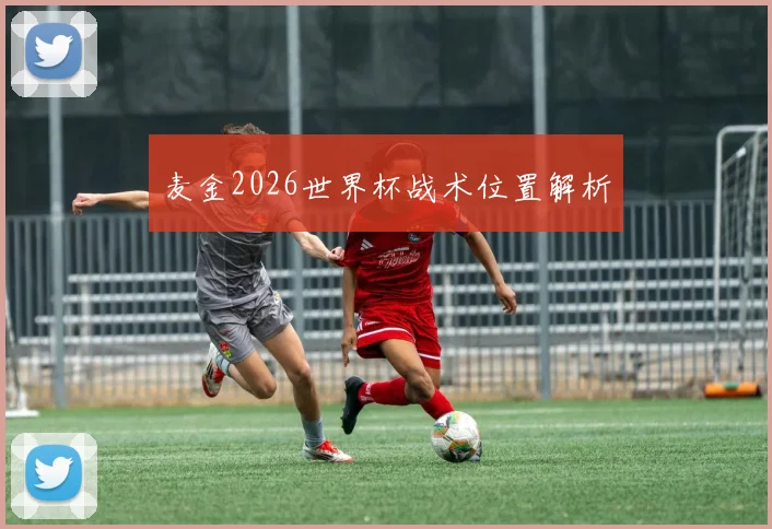 麦金2026世界杯战术位置解析
