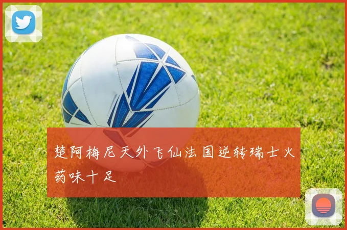 楚阿梅尼天外飞仙法国逆转瑞士火药味十足