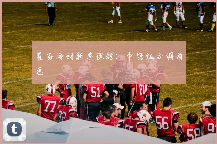 霍芬海姆新季课题：中场组合调角色