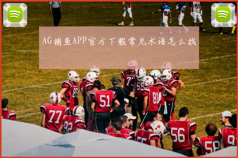 AG捕鱼APP官方下载常见术语怎么找