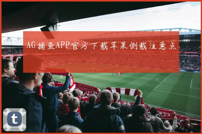 AG捕鱼APP官方下载苹果侧载注意点