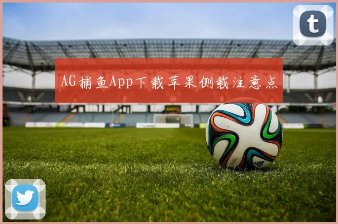 AG捕鱼App下载苹果侧载注意点