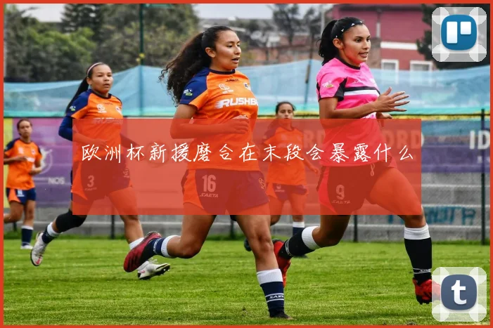 欧洲杯新援磨合在末段会暴露什么