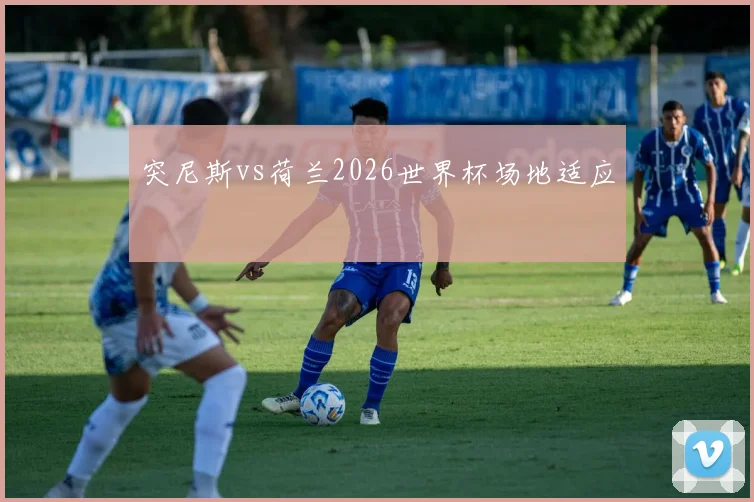 突尼斯vs荷兰2026世界杯场地适应
